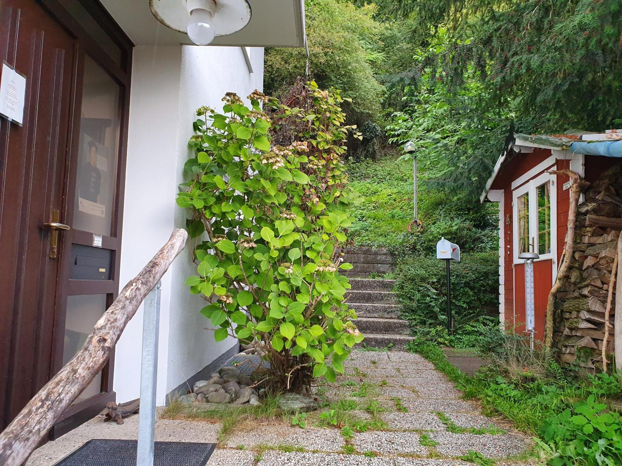 Regio Basiliensis Apartment Grenzach-Wyhlen Exterior photo