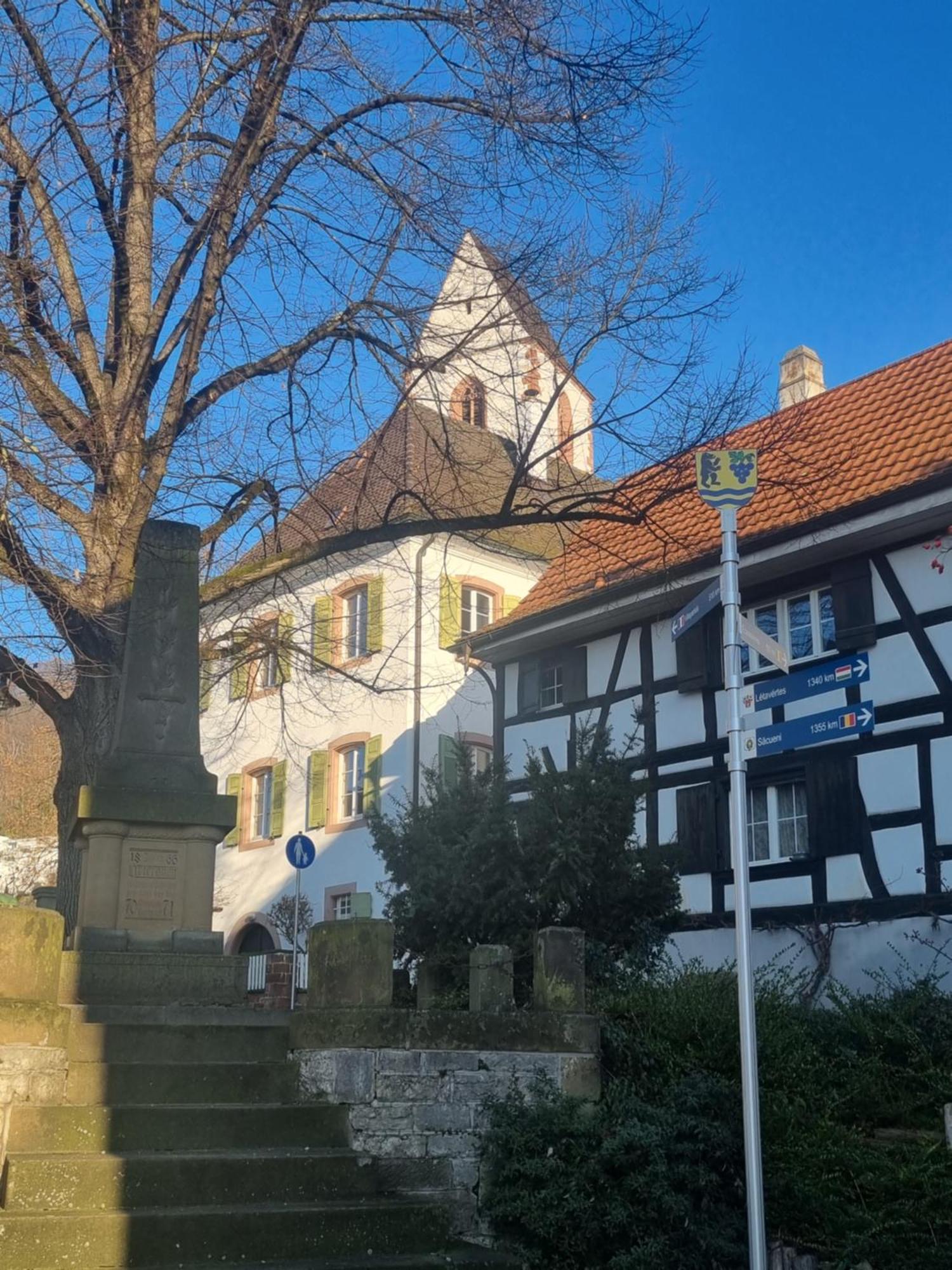 Regio Basiliensis Apartment Grenzach-Wyhlen Exterior photo
